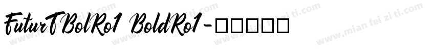 FuturTBolRo1 BoldRo1字体转换